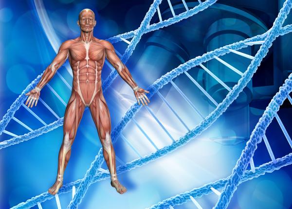atrofia musculara spinala ams simptome tratament
