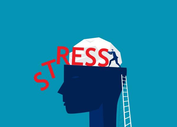 cum sa ne aparam mintea de distres cel care ne omoara neuronii psihiatru din lucrurile care ne plac ne obtinem energia