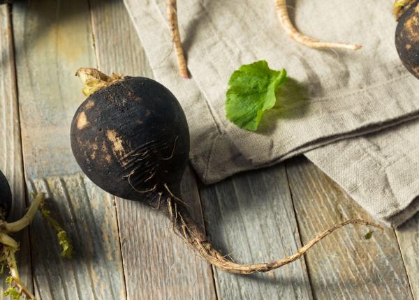 ridichea neagra de la tratarea tusei la reducerea riscului de cancer de san si de endometru