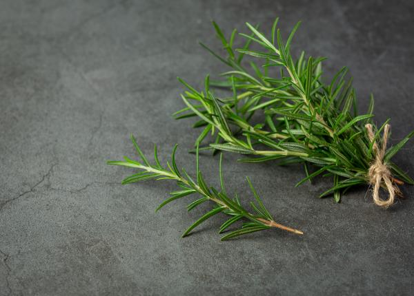 ceaiul de rozmarin apara creierul de afectiuni