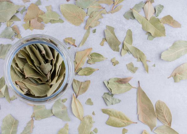 ceaiul din frunze de dafin bun pentru pierderea in greutate