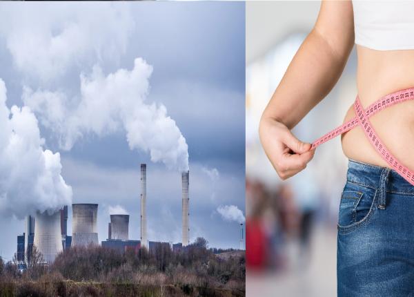 poluarea aerului nou factor de risc pentru obezitatea femeilor