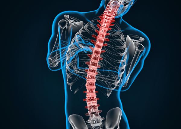tasarea coloanei vertebrale cauze si riscuri bojinca avem o multime de paciente tinere tasarea coloanei vertebrale cauze si riscuri bojinca avem o multime de paciente tinere