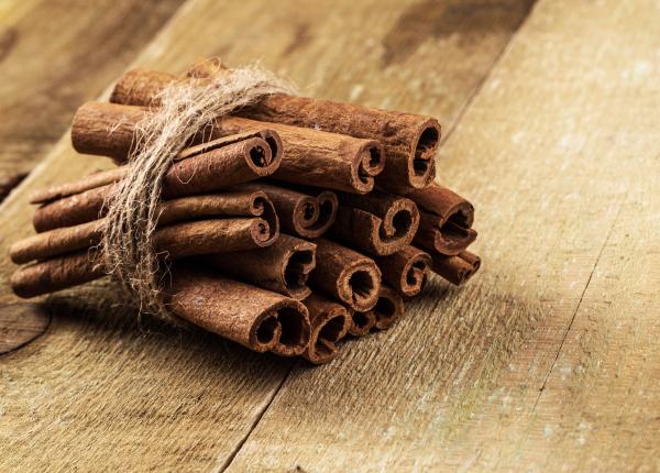 scortisoara efect asupra organismului poate mentine sanatatea creierului