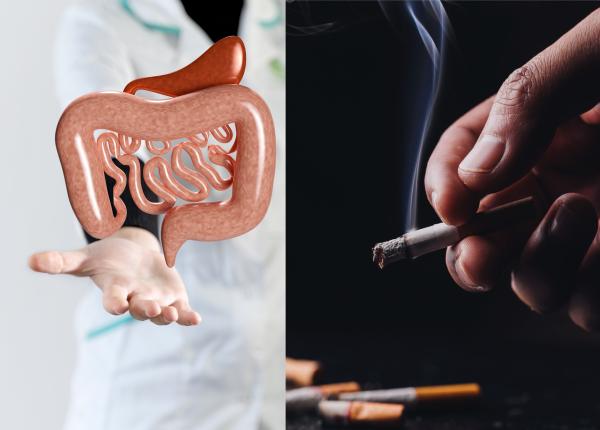 o bacterie intestinala poate reduce riscurile asociate fumatului printre care boala ficatului gras o bacterie intestinala poate reduce riscurile asociate fumatului printre care boala ficatului gras