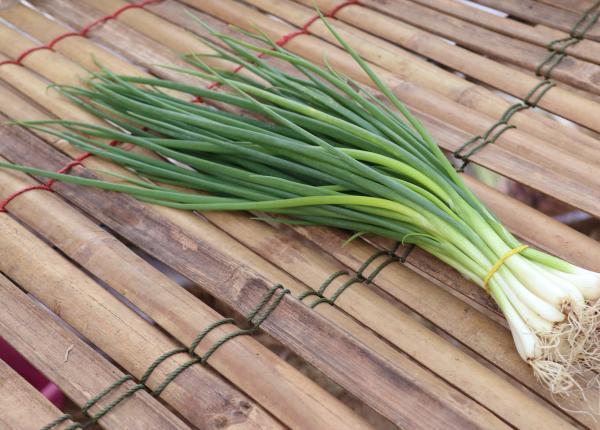 ceapa verde beneficii pentru sanatate noua motive sa o consumi