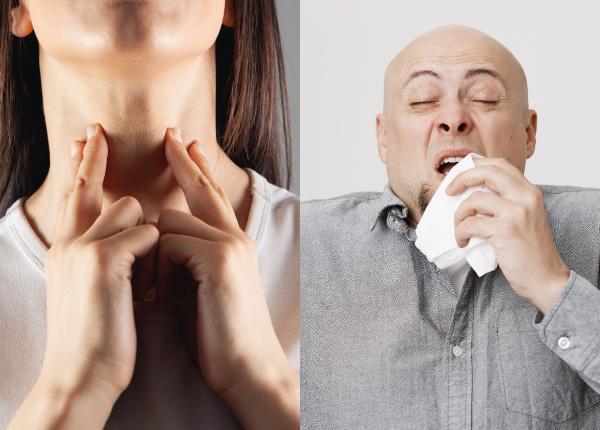 stranutul si sughitul de ce apar codrut sarafoleanu sunt deseori ignorate dar sunt extrem de deranjate pentru pacienti avem o paleta foarte larga de alte circumstante inclusiv emotionale stranutul si sughitul de ce apar codrut sarafoleanu sunt deseori ignorate dar sunt extrem de deranjate pentru pacienti avem o paleta foarte larga de alte circumstante inclusiv emotionale