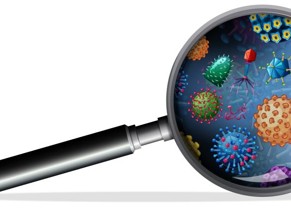 infectiile nosocomiale sub media europeana rafila numarul de decese care ar putea sa fie atribuite infectiilor asociate asistentei medicale ar fi probabil de circa 1 700