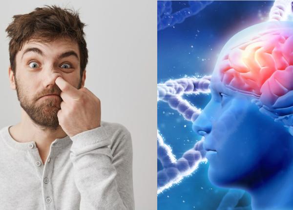 scobitul in nas asociat cu boala alzheimer cercetator dovezile sunt infricosatoare