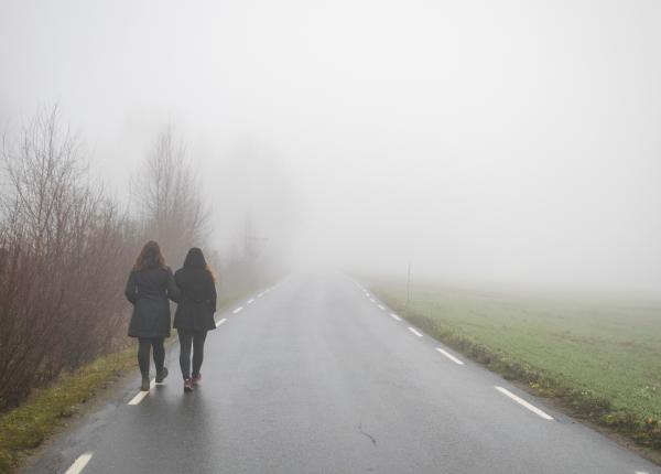 ceata riscuri pentru sanatate