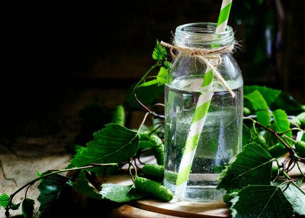 seva de mesteacan beneficii pentru sanatate