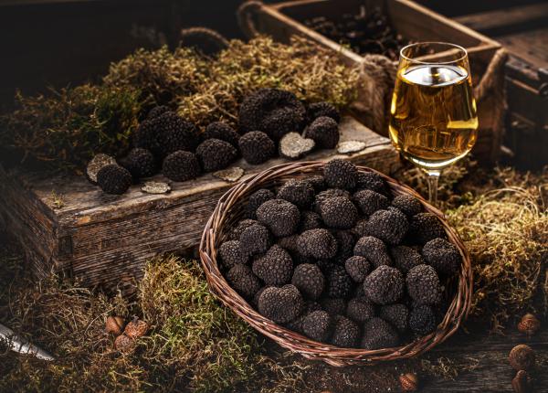 trufele luxul anti cancer contin un compus antioxidant puternic