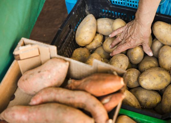 cartoful alb sau cartoful dulce care este mai sanatos