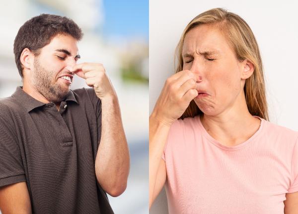 flatulenta urat mirositoare cauze si tratament flatulenta urat mirositoare cauze si tratament
