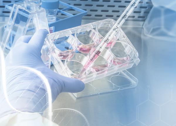 studiile clinice sansa la viata rozalina lapadatu teoria conspiratiei