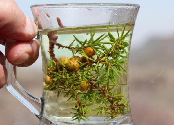 ceaiul cu boabe de ienupar un ajutor valabil pentru digestie