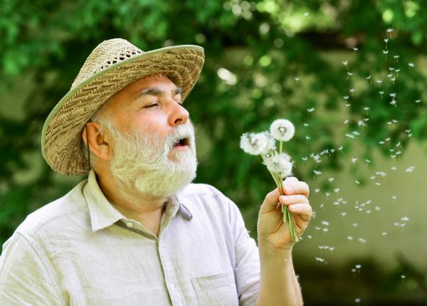 dementa vasculara cauze factori de risc si diagnostic