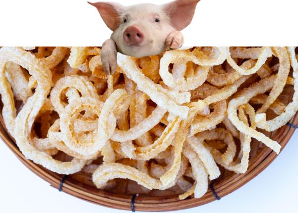 adevarul despre sorici ce se intampla in corp cand manaci sorici adevarul despre sorici ce se intampla in corp cand manaci sorici