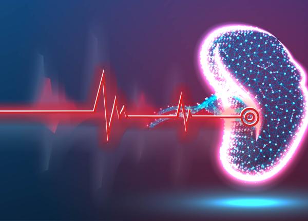 splina marita splenomegalia cauze si tratament