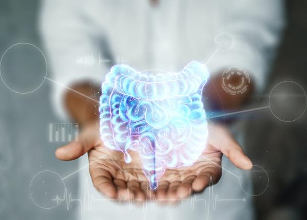 stomacul ce nu stiai despre cum functioneaza