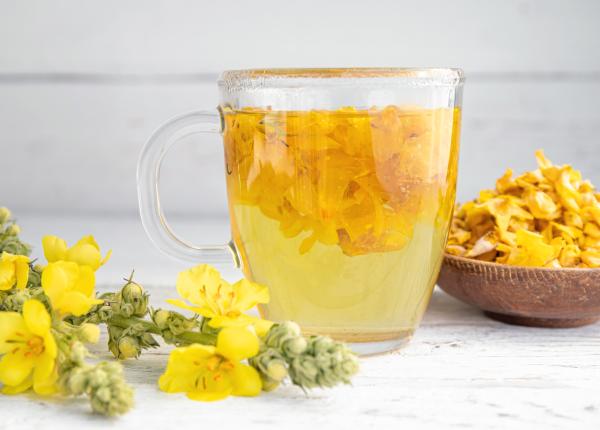 lumanarica ceaiul care calmeaza tusea herpesul plamanii expectorant natural