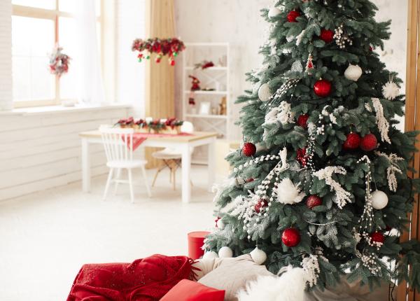 efectul surprinzator al bradului de craciun