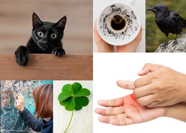 superstitiile mancarimi in palma cifra 13 pisica neagra leca