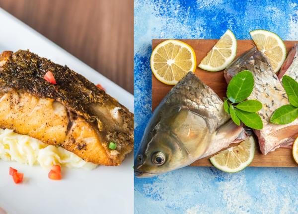 pestele riscuri cum stii daca e proaspat marinescu infectii digestive pestele riscuri cum stii daca e proaspat marinescu infectii digestive