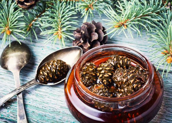 sirop de muguri de brad cum se prepara cum se bea si care sunt beneficiile sale