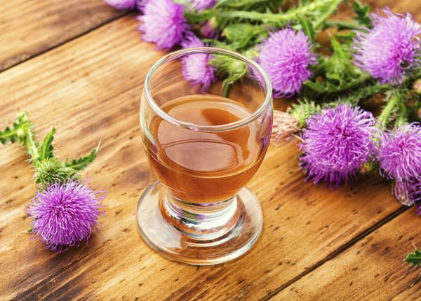 armurariu armura ficatului cel mai puternic hepatoprotector natural