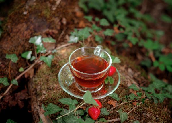 ceaiul de fructe de padure efect anti stres