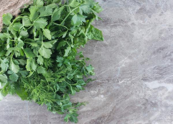 coriandru sursa importanta de vitamina a si k