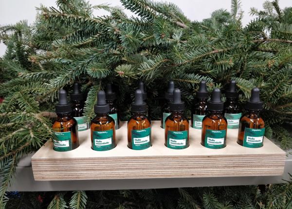 uleiul esential de brad o noua viata pentru bradul de craciun