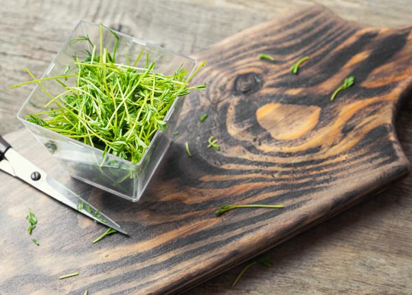 microplantele ce sunt si ce beneficii iti aduc