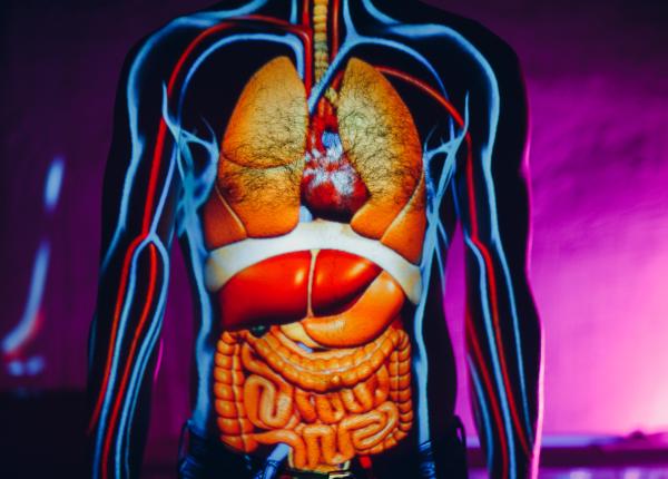 anevrismul de aorta abdominala ucigasul tacut