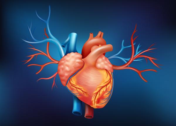 insuficienta mitrala cauze