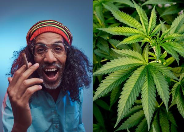 ce simti cand consumi cannabis marijuana in cat timp trec efectele politia trafic curca