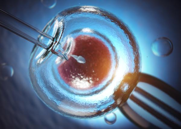 fertilizarea in vitro riscuri