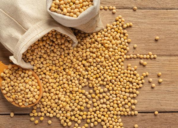 colesterolul redus cu boabe de soia