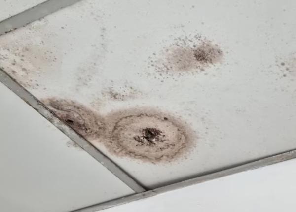 scapa usor de mucegaiul de pe tavan cu un ingredient surprinzator pe care il ai in casa