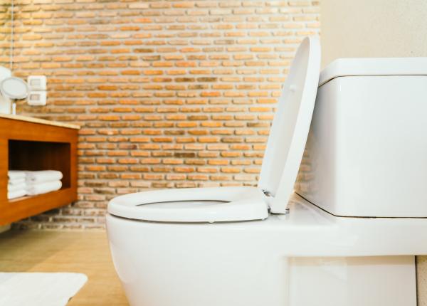 de ce sa nu mai lasi niciodata capacul de la toaleta ridicat