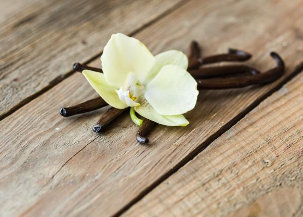 extractul de vanilie tratament de infrumusetare