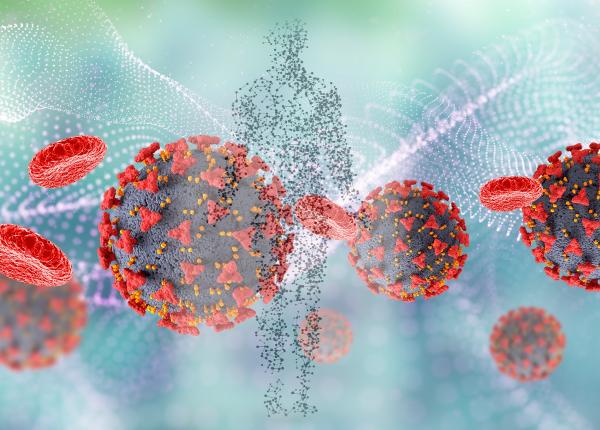 triunghiul mortii zona de pe corp care te poate ucide
