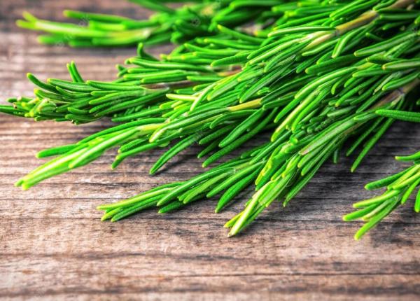 pune rozmarin pe calorifer trucul pentru o casa parfumata