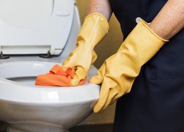 capacul de la toaleta purtator de bacterii