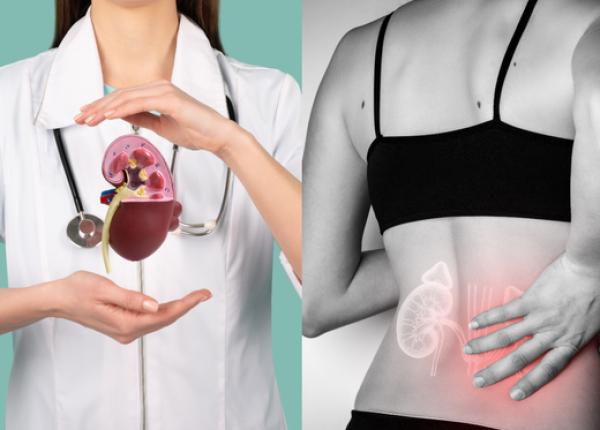 boala renala cronica screening si preventie florin buicu boala renala cronica screening si preventie florin buicu