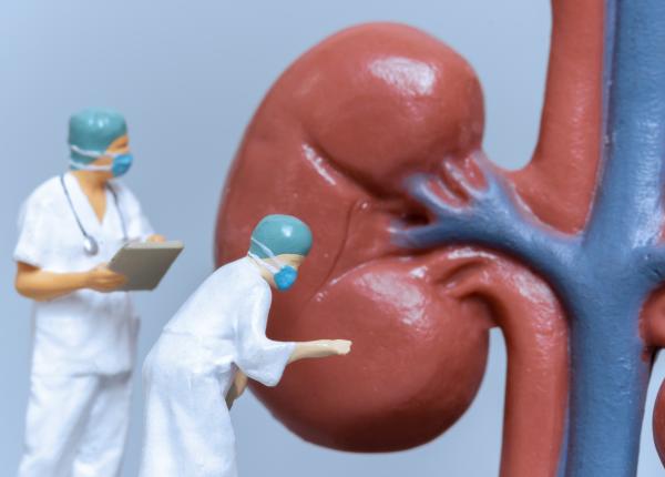 transplantul renal ce nu se stie dupa interventie transplantul renal ce nu se stie dupa interventie