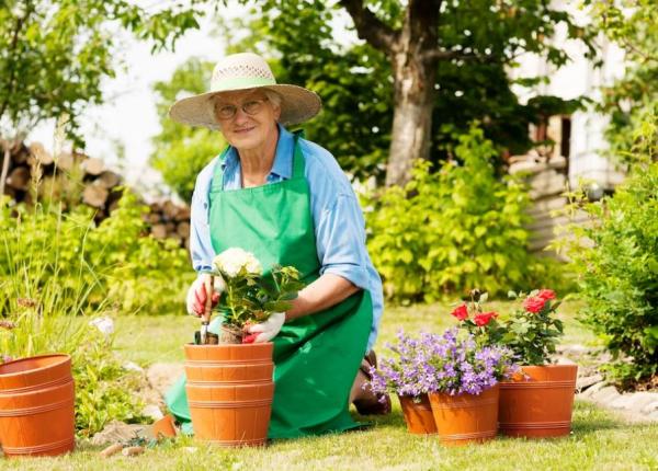 plantele tale vor creste de doua ori mai repede