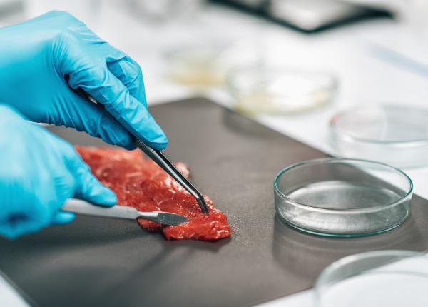 carnea cultivata in laborator aprobata