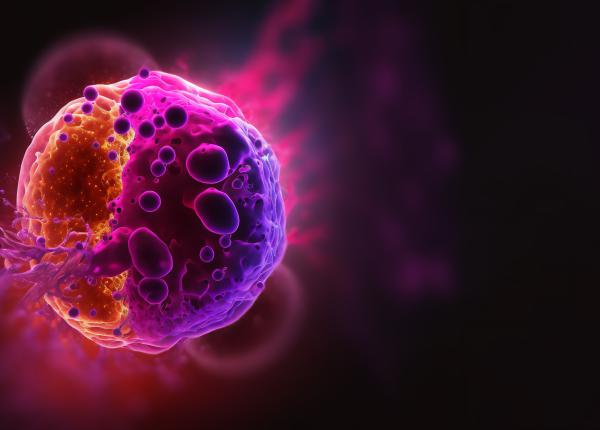 boala care va domina intreaga lume pana in 2040 eniko fejer